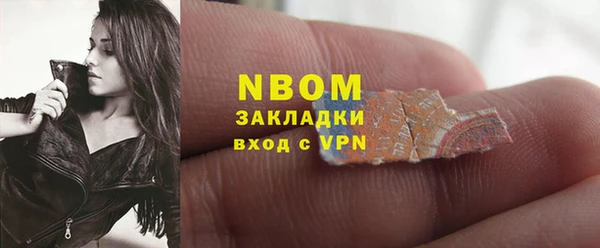 ПСИЛОЦИБИНОВЫЕ ГРИБЫ Новозыбков