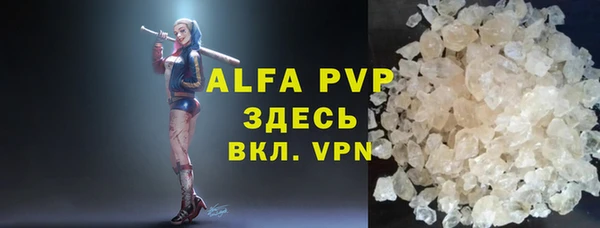 ПСИЛОЦИБИНОВЫЕ ГРИБЫ Новозыбков