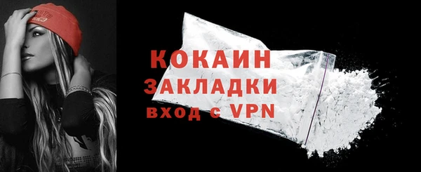 ПСИЛОЦИБИНОВЫЕ ГРИБЫ Новозыбков