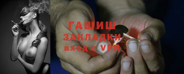ПСИЛОЦИБИНОВЫЕ ГРИБЫ Новозыбков