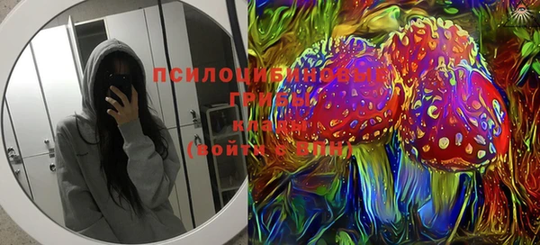 ПСИЛОЦИБИНОВЫЕ ГРИБЫ Новозыбков