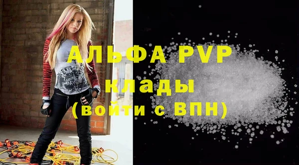 МДПВ Новодвинск