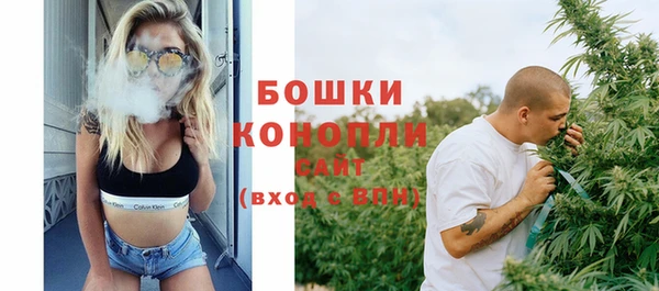 ПСИЛОЦИБИНОВЫЕ ГРИБЫ Новозыбков