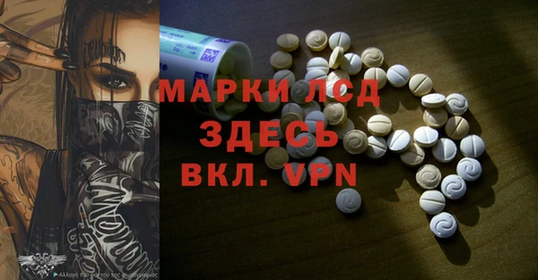 ПСИЛОЦИБИНОВЫЕ ГРИБЫ Новозыбков