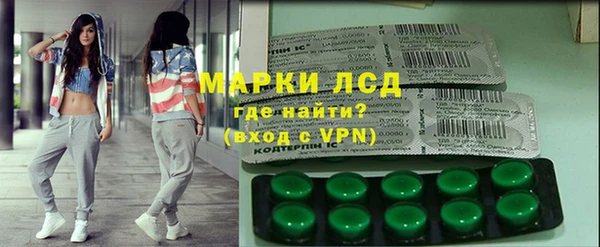 ПСИЛОЦИБИНОВЫЕ ГРИБЫ Новозыбков